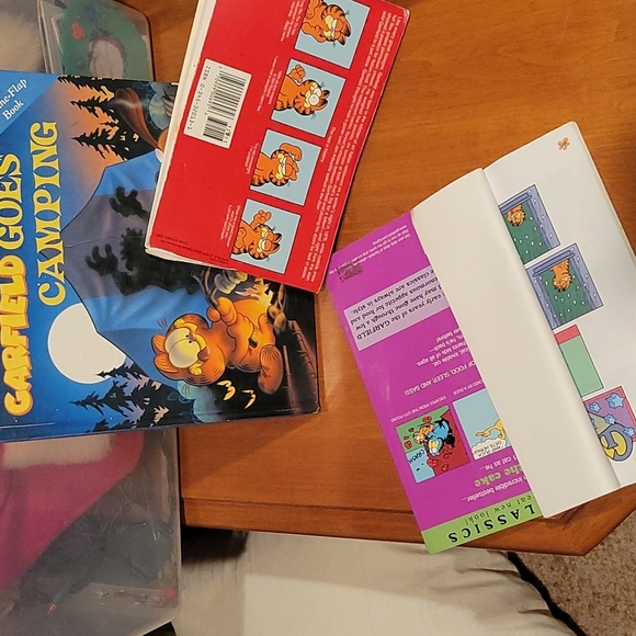 Garfield - Picture 2 of 4